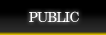 PUBLIC